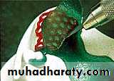 Laboratory procedures