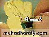 Laboratory procedures