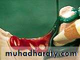 Laboratory procedures