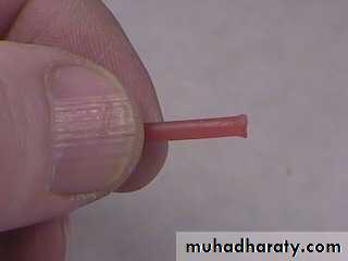 Laboratory procedures