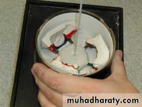 Laboratory procedures