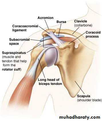 Rotator Cuff Disorders
