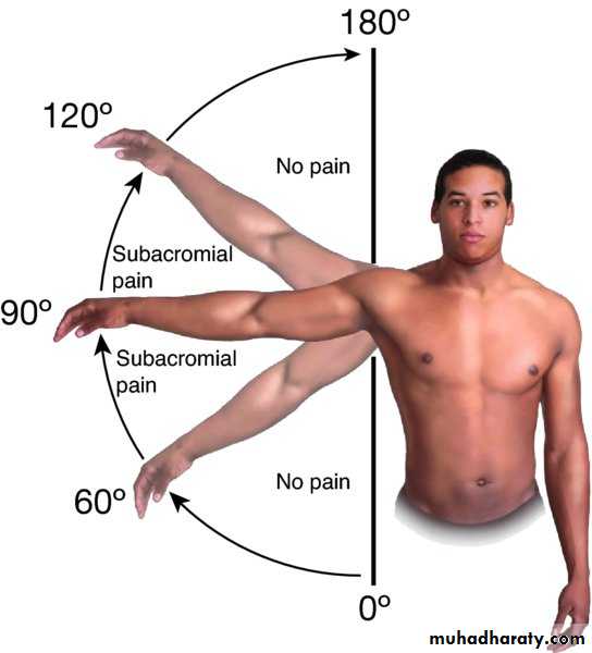 Rotator Cuff Disorders