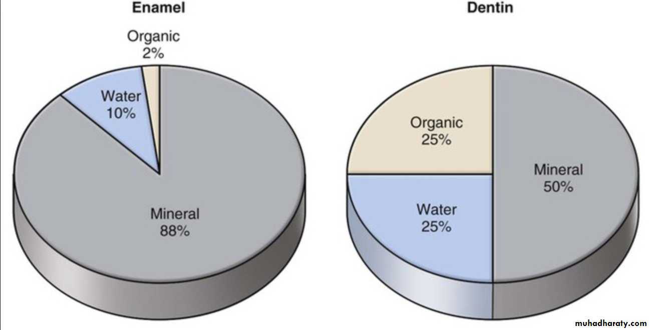 Dental Adhesion