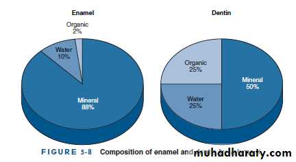 Dental Adhesion