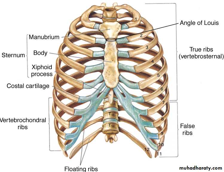 Chest injury