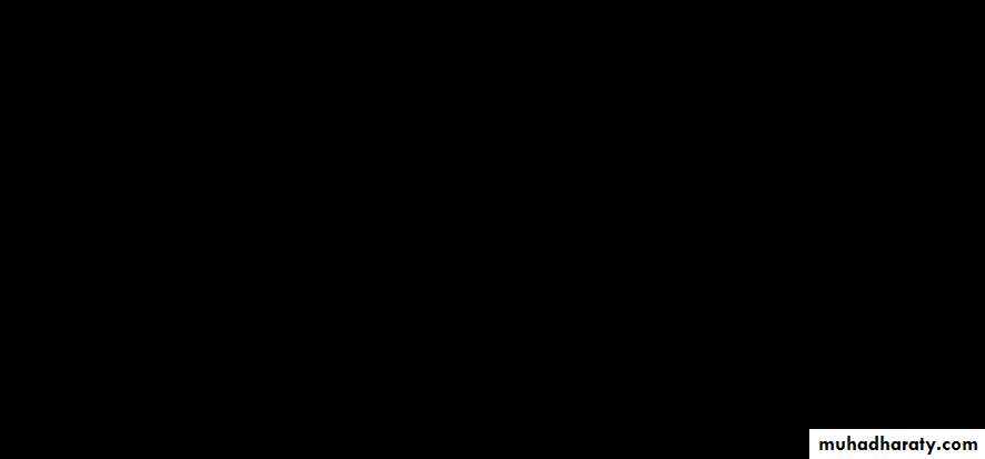 lec17