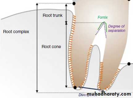 furcation involvement