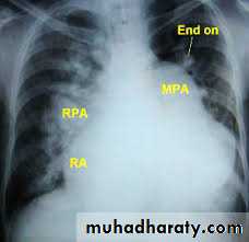 Cardiology