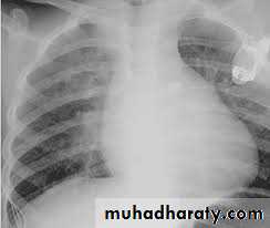 Cardiology