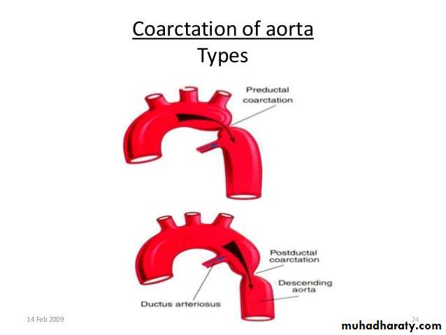 Cardiology