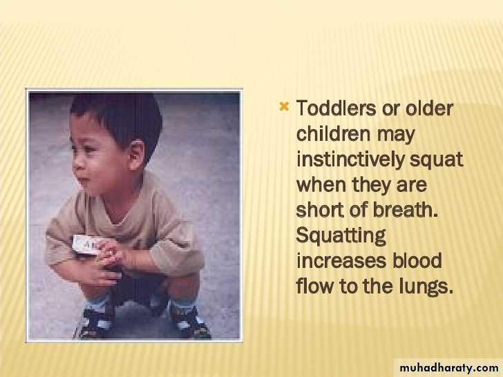 Cardiology