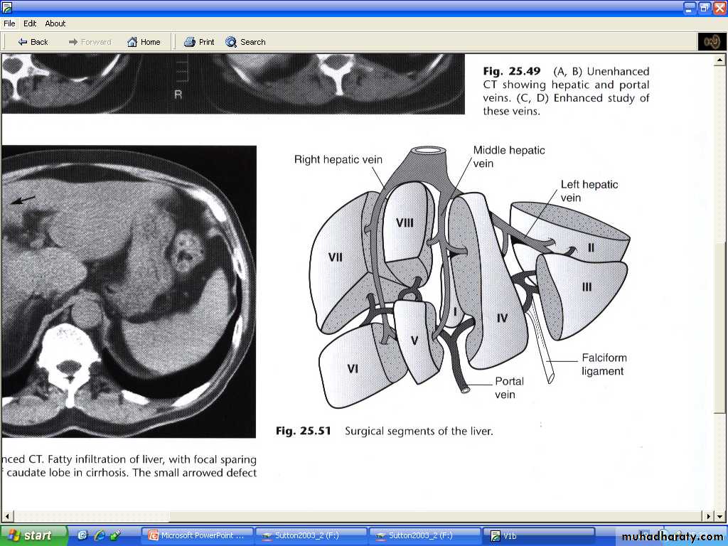 Liver& Biliary