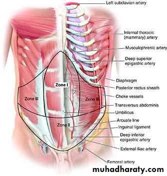 Cleft Palate & Cosmetic Operations