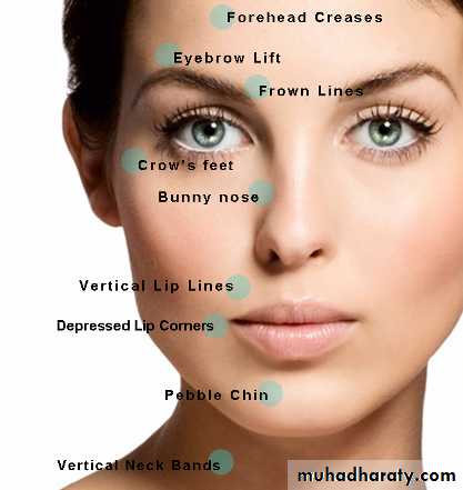 Cleft Palate & Cosmetic Operations