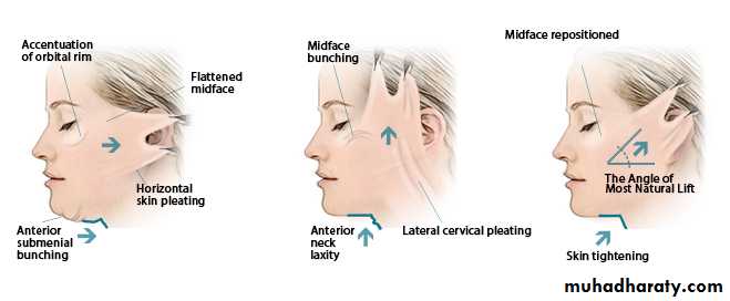 Cleft Palate & Cosmetic Operations