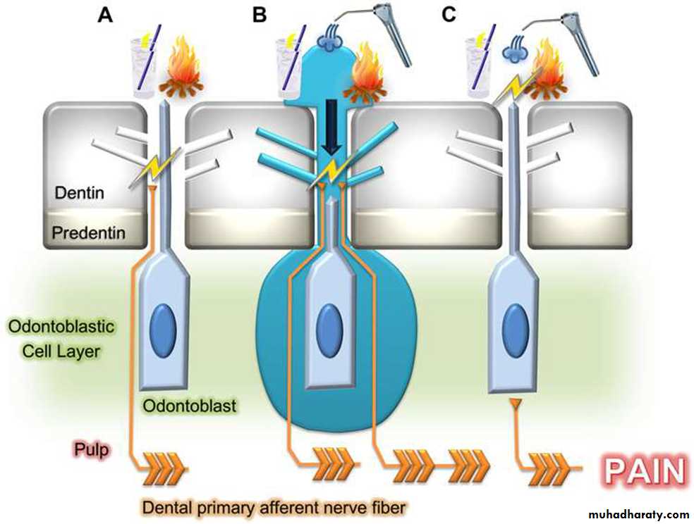 Treatment of dentin hypersensitivity