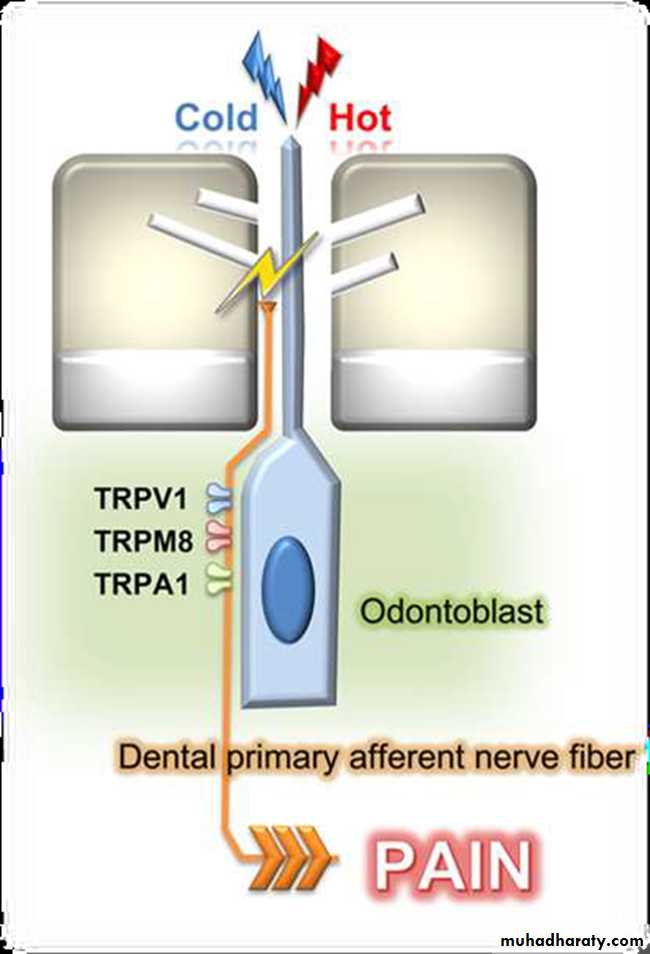 Treatment of dentin hypersensitivity