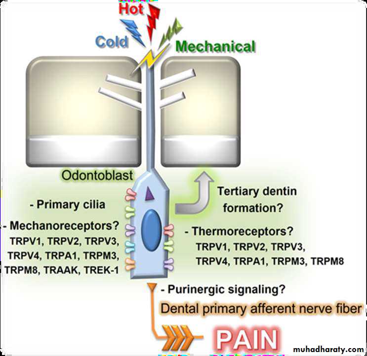 Treatment of dentin hypersensitivity