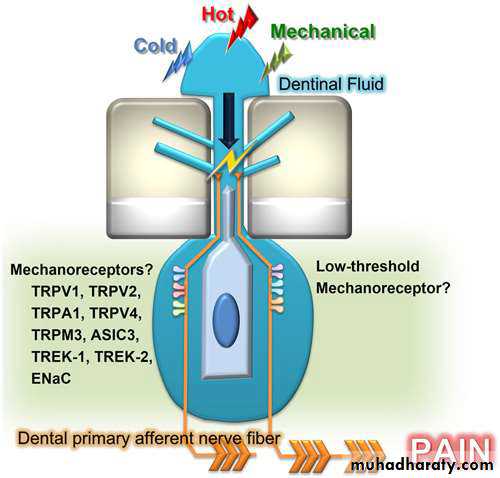 Treatment of dentin hypersensitivity