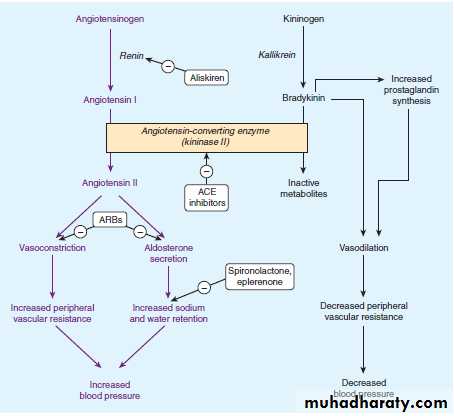 Hypertension