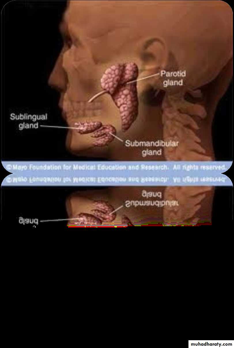 Giatric