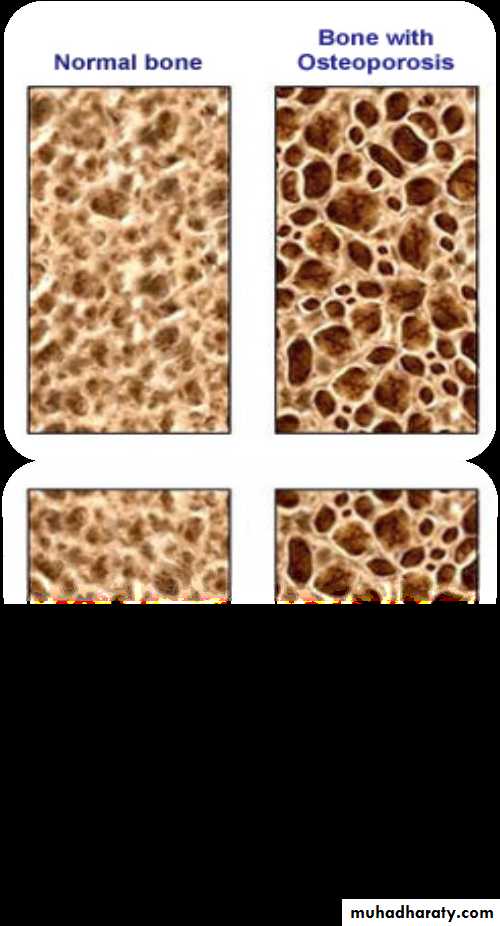 Giatric