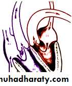 medically compromised patient