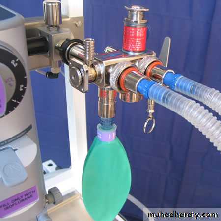 Airway Control