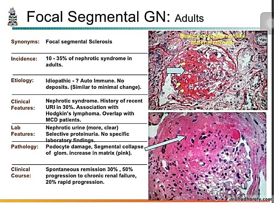 Renal