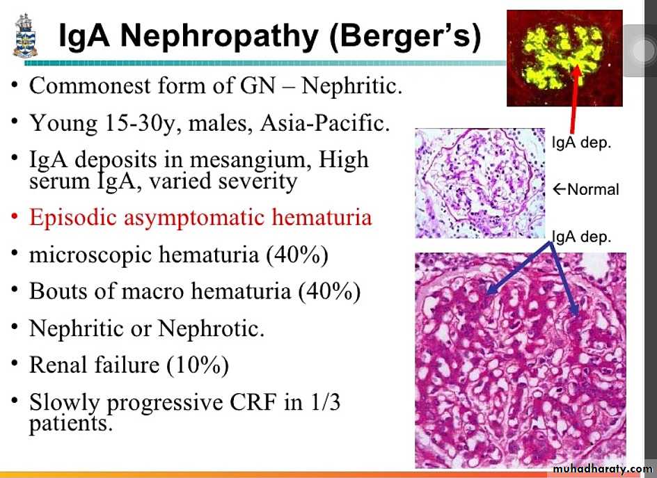 Renal