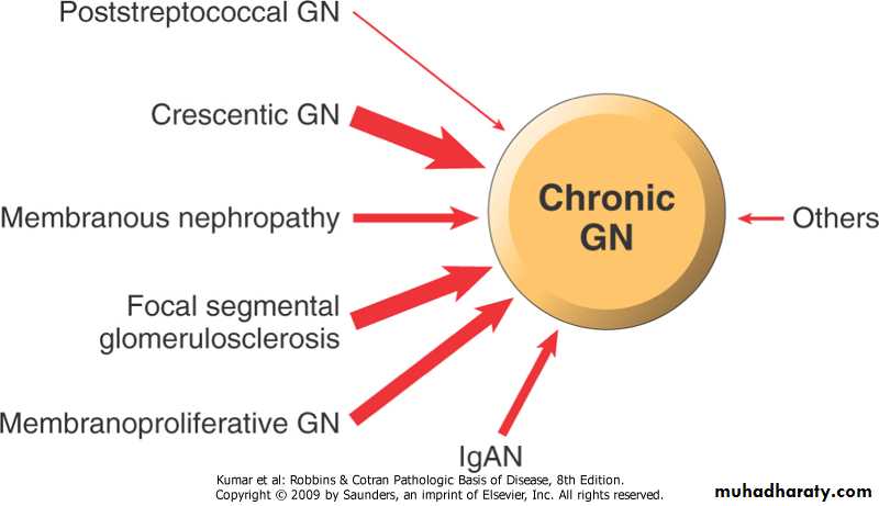 Renal