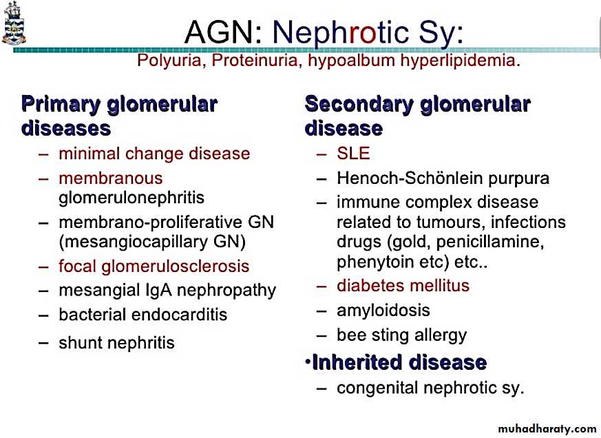 Renal