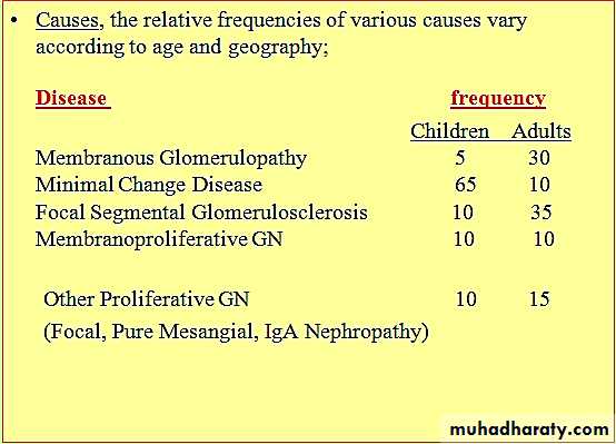 Renal