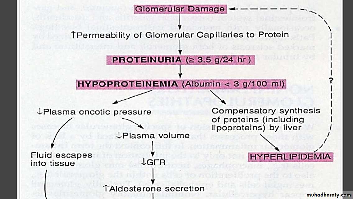 Renal