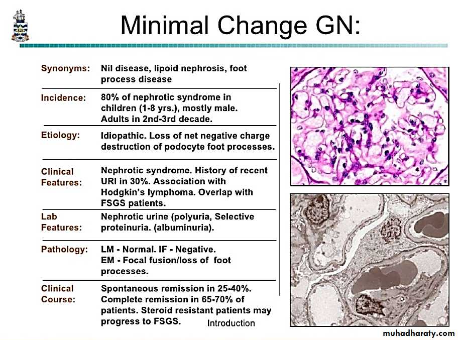 Renal