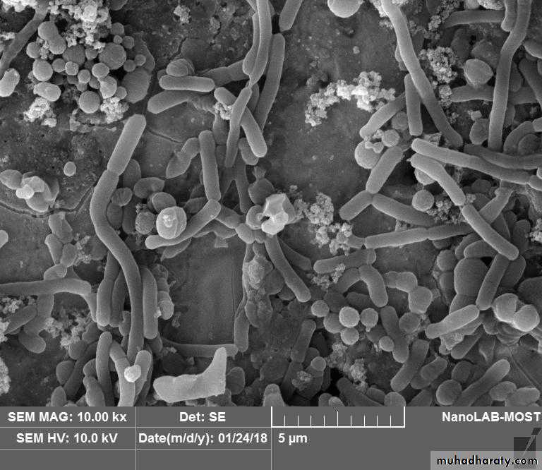 The predisposing factors for periodental diseases