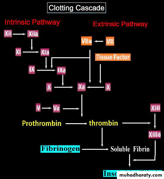 Bleeding & clotting disorders