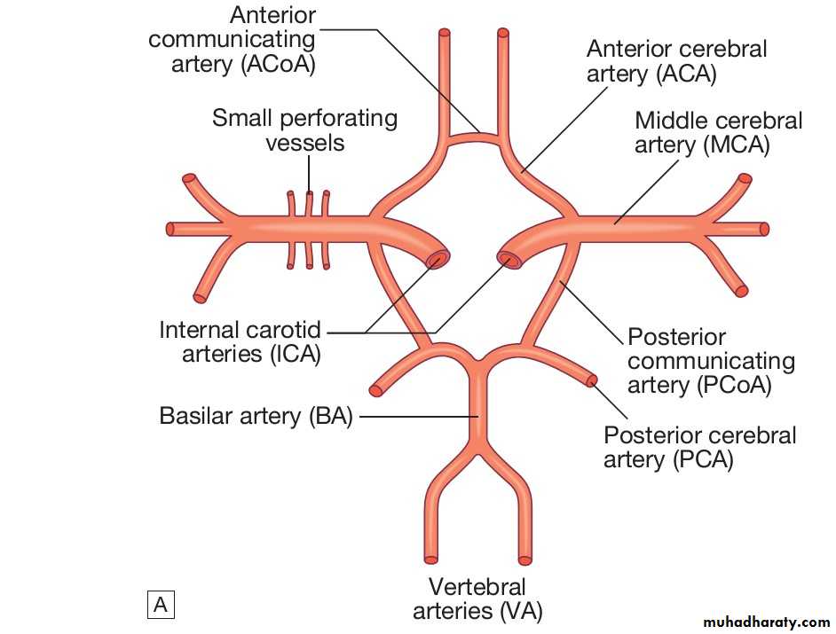 Secondary headache syndromes