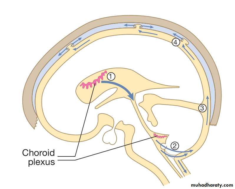 Secondary headache syndromes