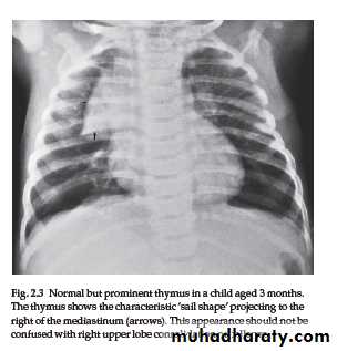 Mediastinum الاولى والثانية