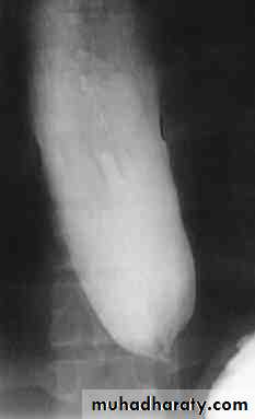 Radiology of G.I.T