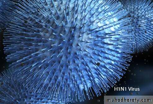 Viral infection 1
