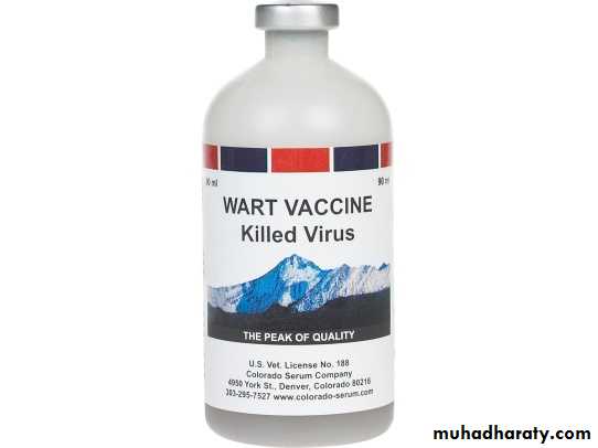 Viral infection 1
