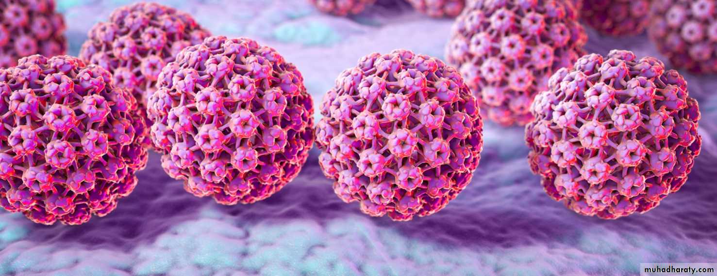 Viral infection 1