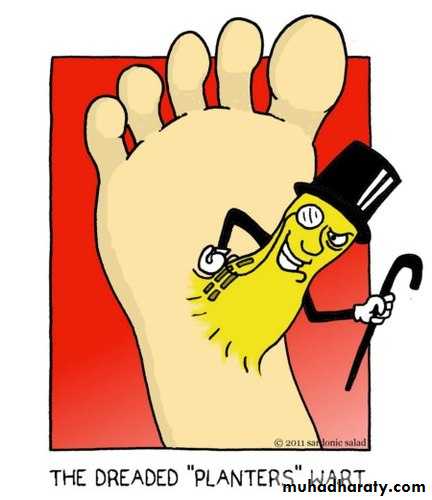 Viral infection 1