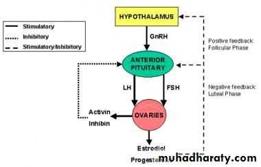 Primary amenorrhea