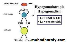 Primary amenorrhea