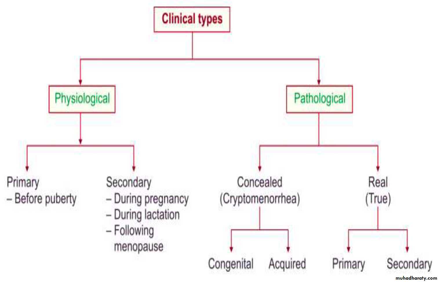 Secondary amenorrhea