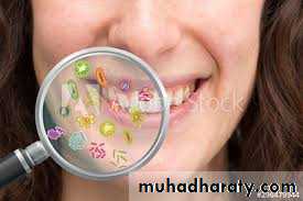Host defense in the dentogingival area